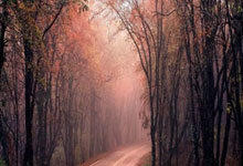 开云体育官网：[CBA]常规赛12月16日：山西VS辽宁.