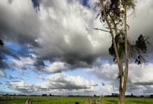 保罗·乔治赛季报销 将接受左腿内收肌和左膝治疗.