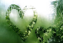 开云体育官网：[NBA]常规赛2月2日：VS尼克斯.