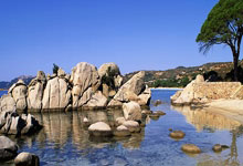 开云体育官网：国际足联：2025首届新版世俱杯参赛奖金达10亿美元2025-03-07.